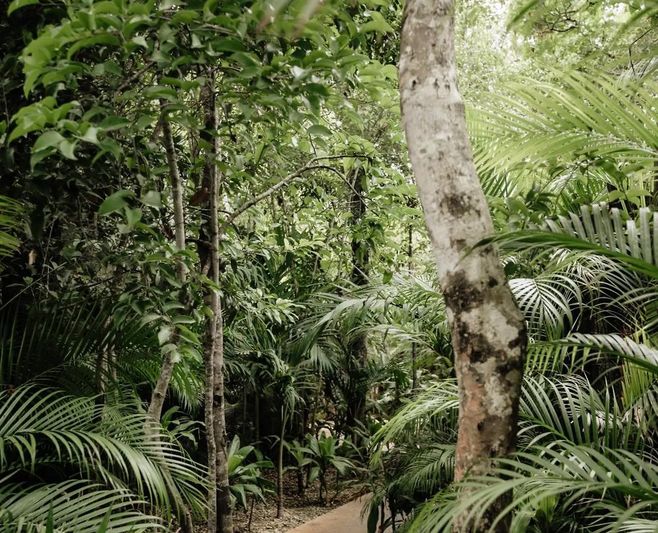 Casa Coco Jungle Villa - Pv Pool & Concierge 5B Tulum